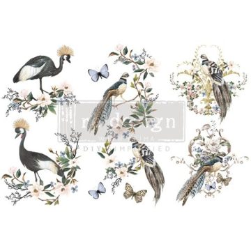 REDESIGN DECOR TRANSFERS®-Rare Birds