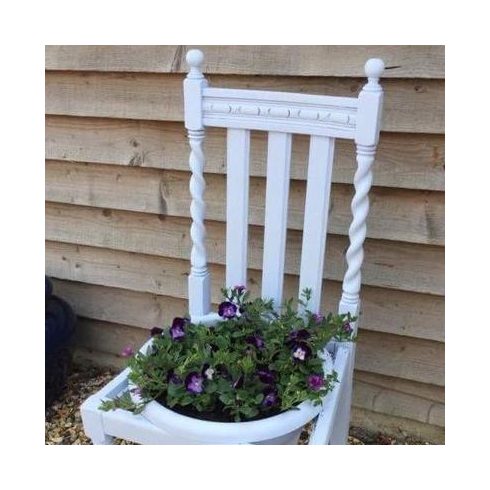 Parma Violet
