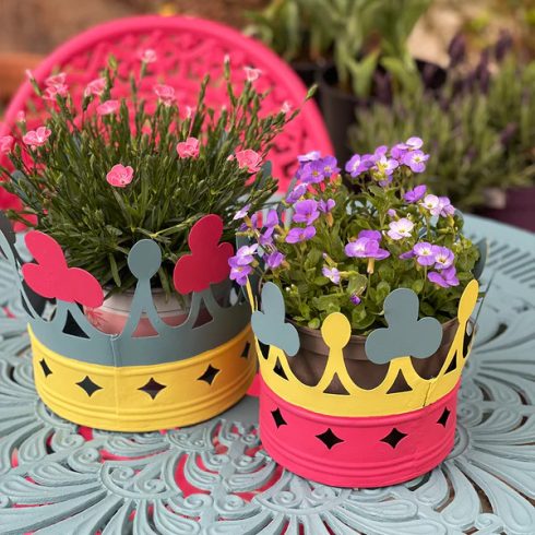 Raspberry Punch-Limited Edition