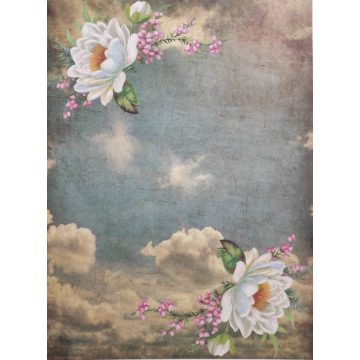 Tela öntapadó rizspapír